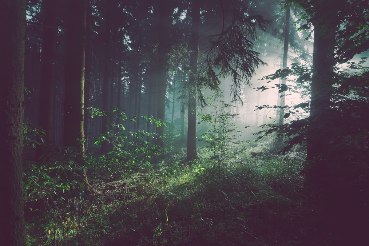 Kanopi hutan hijau lebat berpadu teknologi bersih